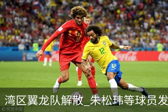 湾区翼龙队解散 朱松玮等球员发布声明维权